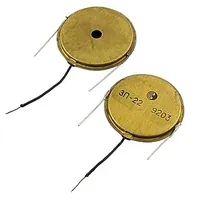 ЗП-22 — Россия
