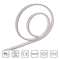 RSH-NEON2835W120-6x12MM-24V-IP66-HQ (RX16C0TD-A) — Rishang