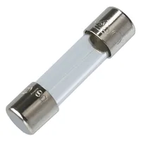 D5x20 10A class fast / 179020.10 — Siba GmbH