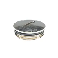 Резьбовая заглушка M20x1,5 05.507.4021.0 — Wieland Electric