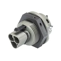 Вилочный разъем в панель RST25I3S S1 M01V BG03 — Wieland Electric