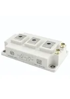 DFI300HF17DF1 — Leapers