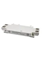 DFI300HF17I4RE1 — Leapers