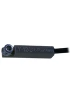 LY-12-L — Cashtec