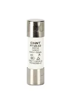 520495 — CHINT