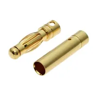 Plug 4.0 M+F — RUICHI