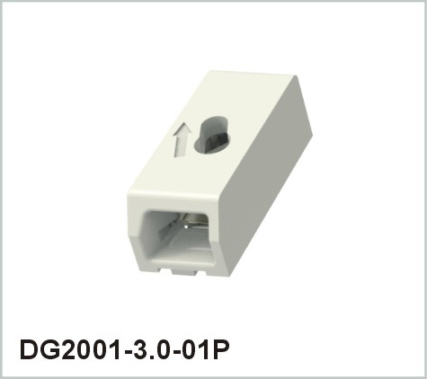 DG2001-3.0-01P-11-01A(H)