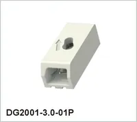 DG2001-3.0-01P-11-01A(H) — Degson