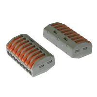 PCT-218 — RUICHI