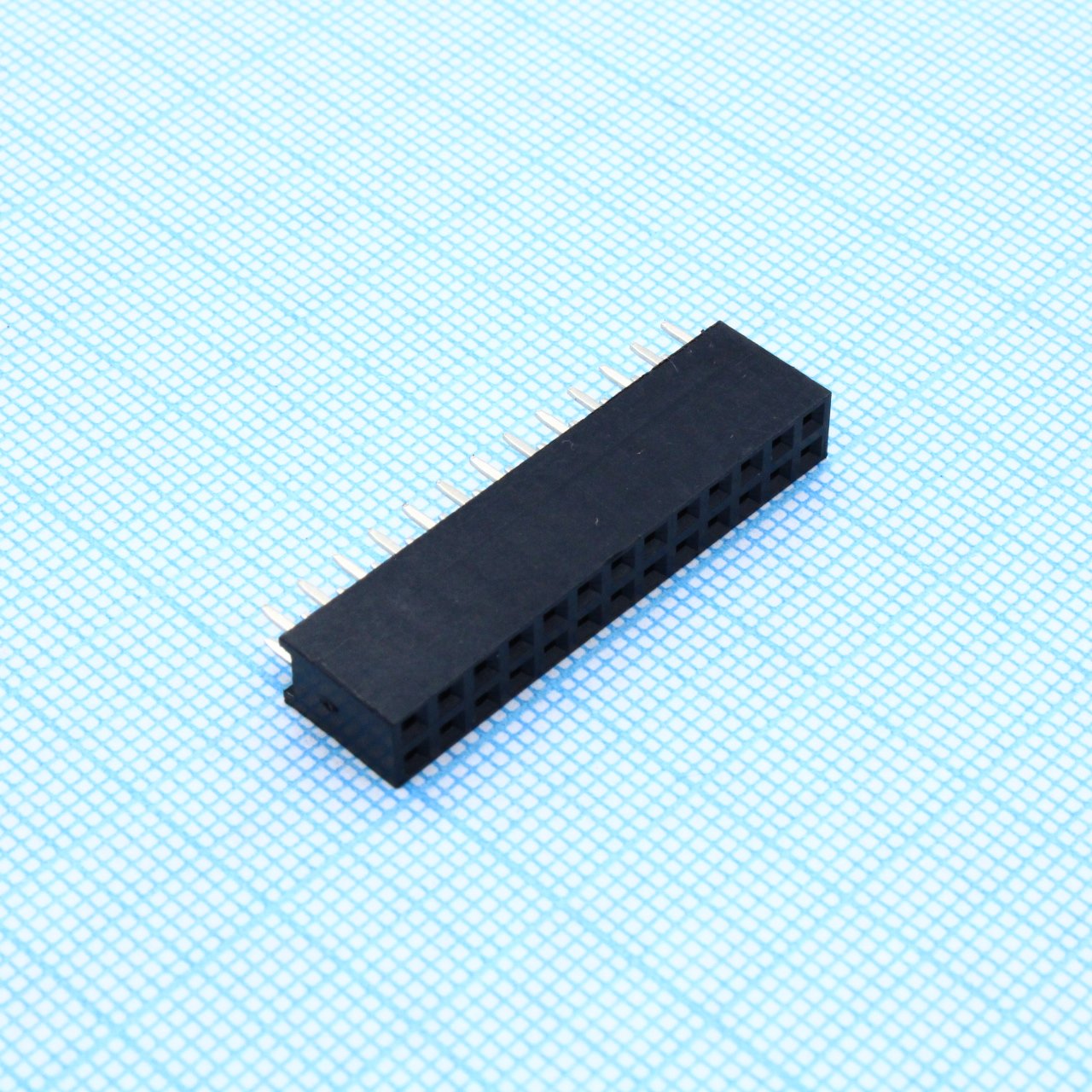 DS1023-2x13S21