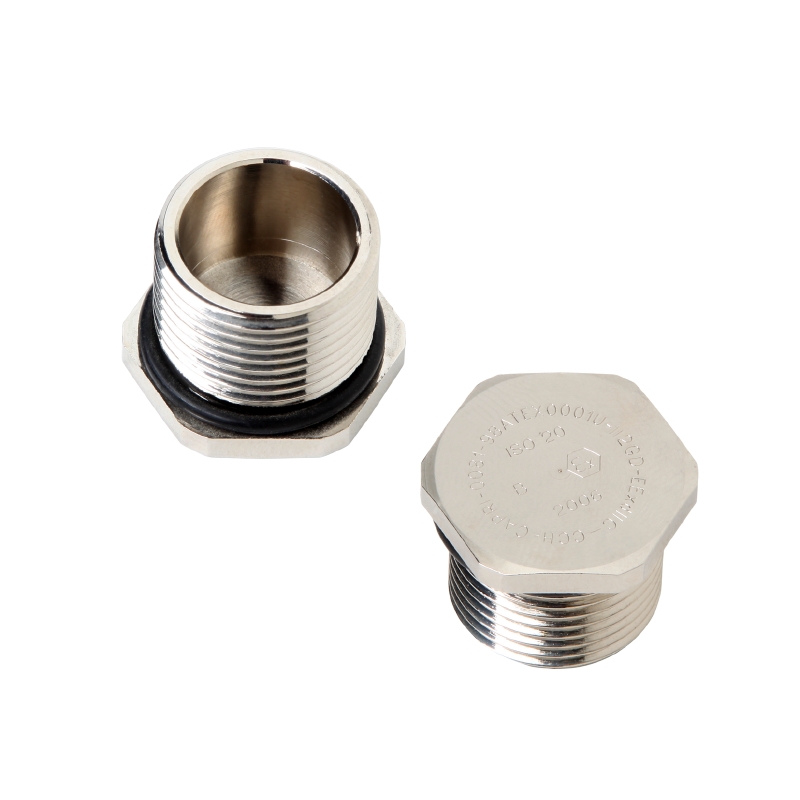 1210950000 VP M63 EXE MS VPMS взрывозащищенная заглушка из латуни, M 63, 19 mm