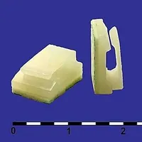 FC-1 — RUICHI