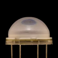 GNL-20003UBC — G-NOR