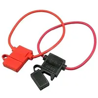 S1038-1 — RUICHI