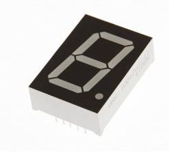 GNS-100011BUG-11