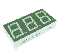 GNT-5631AG-21 — G-NOR
