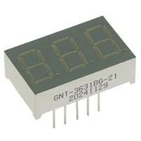 GNT-3631BG-21 — G-NOR