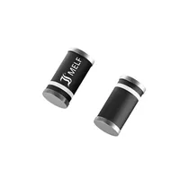 SM4004 — MIC