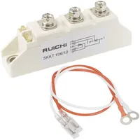 SKKT106/12 — RUICHI