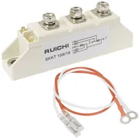 SKKT106/16 — RUICHI