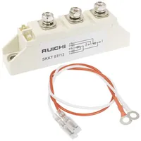 SKKT57/12 — RUICHI