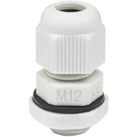 M12-G — RUICHI