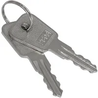 SK25-03A key — RUICHI