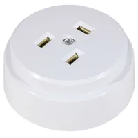 РШ 2P+PE 250В белая — RUICHI