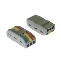 PCT-203 — RUICHI