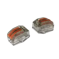 PCT-312 — RUICHI