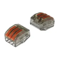 PCT-313 — RUICHI