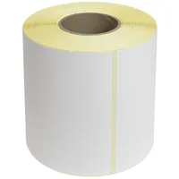 Этикетка 100х150мм 300 эт. в ролике — RUICHI