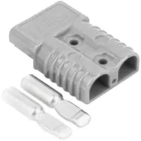 PS-120-G — RUICHI