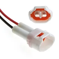 DJ7021-2-11 (18AWG 300mm) — RUICHI