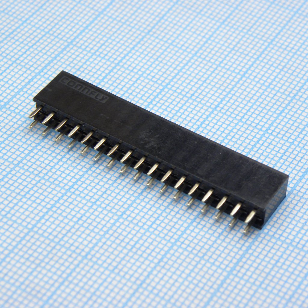 DS1023-2x17S21