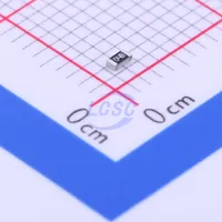 RS-03K1071FT — Fenghua