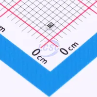 RS-03K1101FT — Fenghua