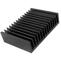 HS 038-100 — RUICHI