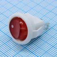 SMRS-101-2 — RUICHI