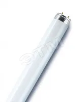 Лампа люминесцентная L 36W/765 36Вт T8 6500К G13 смол. OSRAM 4008321959836 — LEDVANCE