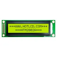 HTM2002A-01Y-T5P 6H — HOTLCD